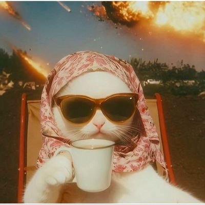 prttychll's profile picture. yeehaw