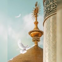 علویام (@sfahd273) 's Twitter Profile