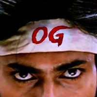 Zombie Chowdary OG π‘οΈ (@chowdaryzo65273) 's Twitter Profile