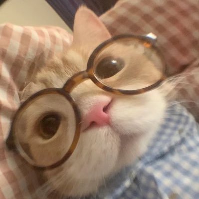 adherentmemer's profile picture. it really do be like that | 24