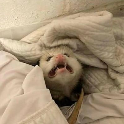 matvejcuk46971's profile picture. 