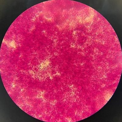 thakiddooos's profile picture. bukan akun gembokan