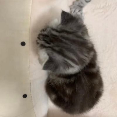 Reverseorder1's profile picture. 