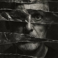 Z (@vignetterosse) 's Twitter Profile