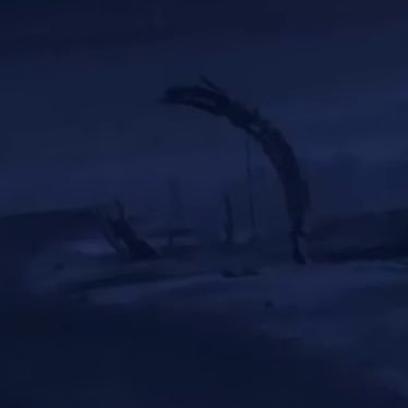 beachresorted's profile picture. 