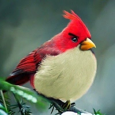 itaysilver403's profile picture. 