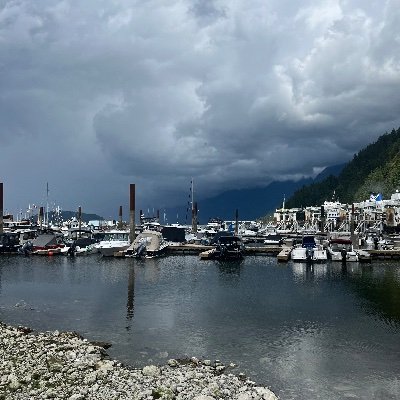 rogersmooc's profile picture. Independent political advocate.