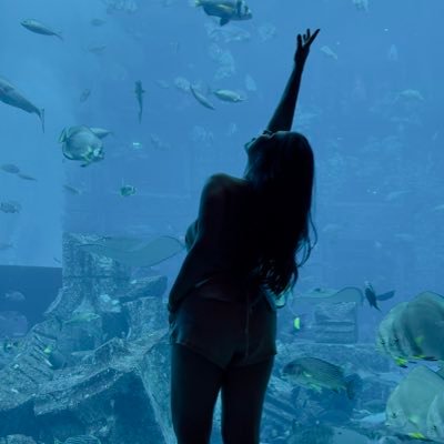 jfoekwjowjfle's profile picture. 