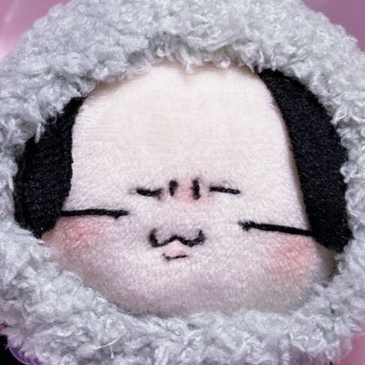 めるもさんのプロフィール画像