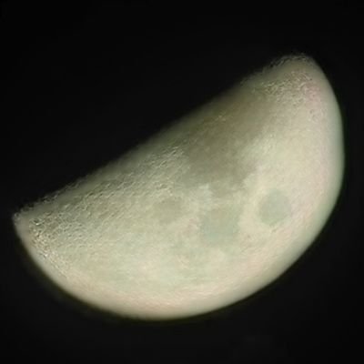 LunaAmola's profile picture. 