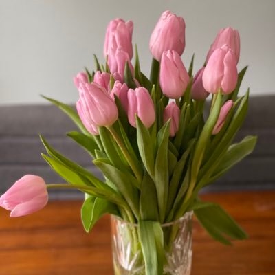 JayneIacovides1's profile picture. Mum of 3, better at FB than Twitter 😂, Animal lover, 🇬🇧