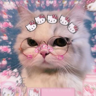 angelstylexz's profile picture. 𝑀𝒶𝓀𝓉𝓊𝒷  ✞ ✿︵✧₊ 𝓑𝓸𝓸𝓴𝓼 ‿ꕤ 𝓑𝓲𝓸𝓶𝓮𝓭 🧬🔬‿︵₊˚ 𝓗𝓾𝓯𝓯𝓵𝓮𝓹𝓾𝓯𝓯  💛 ₊˚ ‿︵୨୧ · ♡ · ୨୧‿︵ ˚₊
𝓽𝓻𝓮𝓪𝓽 𝓹𝓮𝓸𝓹𝓵𝓮 𝔀𝓲𝓽𝓱 𝓴𝓲𝓷𝓭𝓷𝓮𝓼𝓼  ֶָ֢