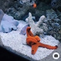 Thomas D (@thomasd97249) 's Twitter Profile