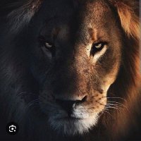james jordan ₿ (@jamesjordan444) 's Twitter Profile