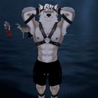 LoneWolfFelix (@lonewolffelix89) 's Twitter Profile