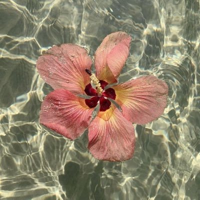 Baddrraa's profile picture. All about me myself & i