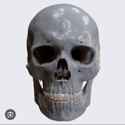 kvps9x7wm21's profile picture. Fjdkd