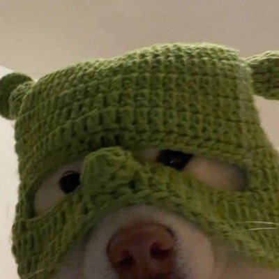 offcokr's profile picture. 