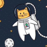 Space Cat (@lubelle123) 's Twitter Profile Photo
