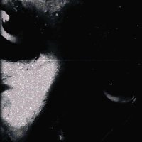 JollyWILD (@jollywild333) 's Twitter Profile