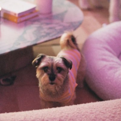 Beth34399274571's profile picture. I love ❤️ my mom military keeps me going stronger 👌😛🎉☺️