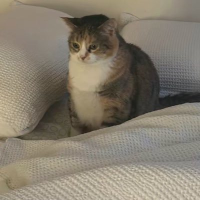 ladyynurr's profile picture. ı’m just girl in tw