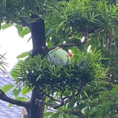 とぅーみやさんのプロフィール画像