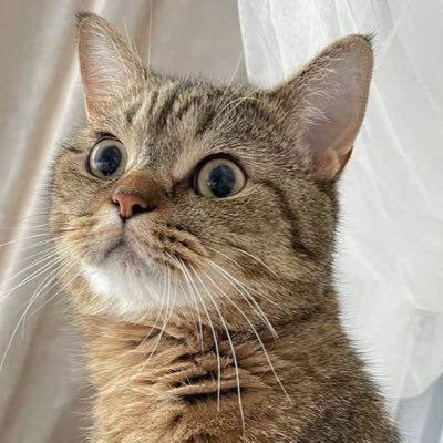 Xyu199914's profile picture. 