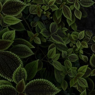 ma_141_174's profile picture. 社会人