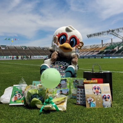 松本山雅FCオフィシャルマスコットのガンズくん(ほんもの)だよ!アイスクリームでもマシュマロでもなくて、長野県の鳥ライチョウだよ。ゆるくかわいく気まぐれにつぶやいていくよ。ウフフフフ♪