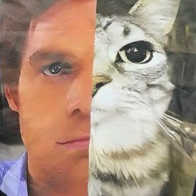 bbbrandom2's profile picture. 