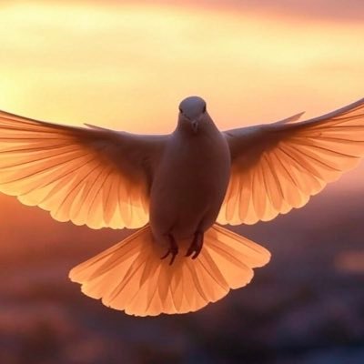 bofutan888's profile picture. A cryptocurrency trader&follower&researcher. An OKX admirer.