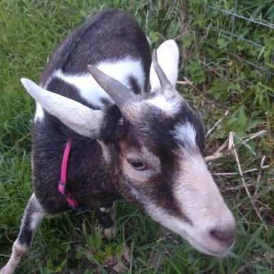 bd699be305344bf's profile picture. 皆さん初めまして三日月ルコと言います 冴えカノから オタクになってしまって 今は色んなアニメオタクですフォローした方にはフォロー返します どうぞ宜しくお願いします ※たまに無言でウォローしますけどご了承ください。