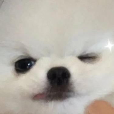 study_pomechi's profile picture. 勉強垢です。（00）通信大学に通ってます。目標は、今年中に宅建を取得！！！