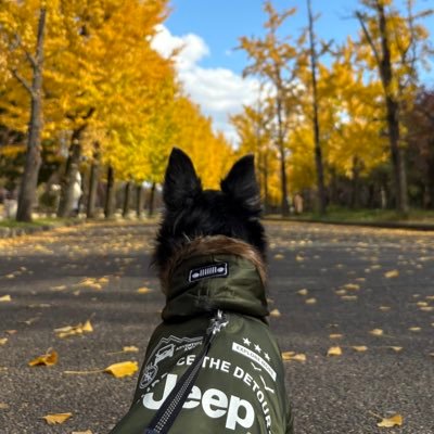 shibainu_outer's profile picture. 03' CORE HOUS住民🏠 NovelCore / BMSG  犬が大好きなOUTER🐾   嵐ファン歴約17年🫶