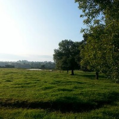 JGpeP180691's profile picture. 