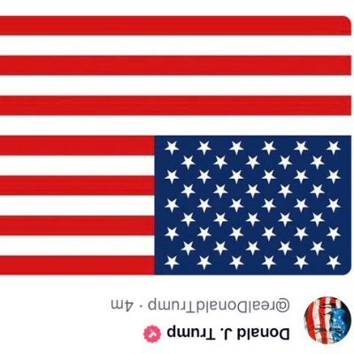 Proud WOKE Democrat! ANTI MAGA! Trump is a fascist, rapist, pedo and a racist! #releasethefiles #resist #peacefulprotest