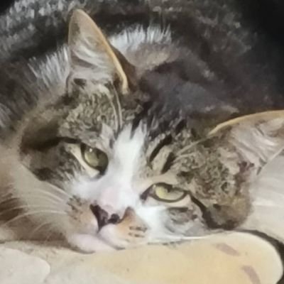 zfihfOH8GY22975's profile picture. 