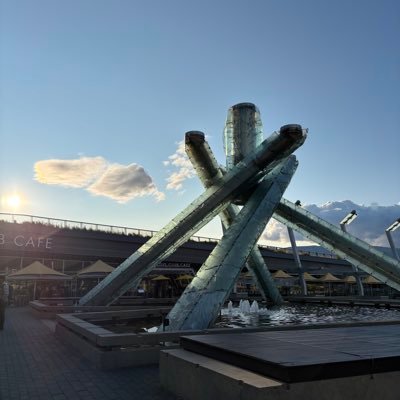 machi_fn's profile picture. 17