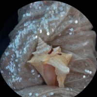r (@rrnlli) Twitter profile photo