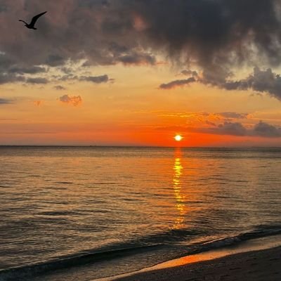 sueth21's profile picture. Coffee and sunset lover 🤍