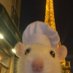 Austin PoL (@4ut1np0l) Twitter profile photo Austin PoL (@4ut1np0l) Twitter profile photo