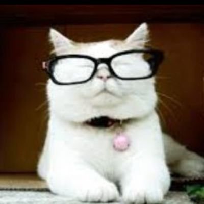 depawq39's profile picture. Jutaan Orang Telah Menggunakan Nya👻Join AirDrop Hamster Kombat? Klik Link