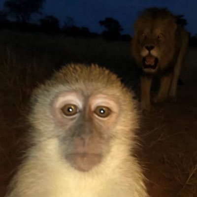 martin_alberca's profile picture. 