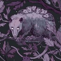JuniperVA (@vajuniper) 's Twitter Profile