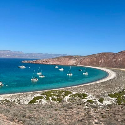 Te_Amo_Mexico_'s profile picture. Soy responsable de la vida política y social de mi querido MEXICO!