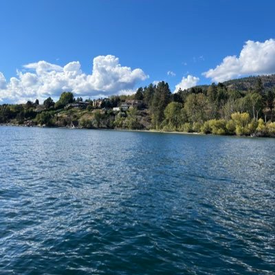 Ccinataps's profile picture. 