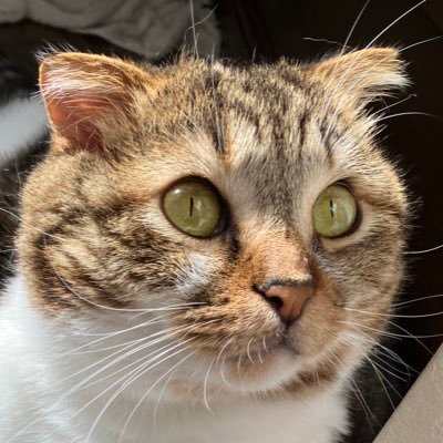 MJMJMJ233445's profile picture. 