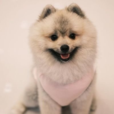 BanhHay60349's profile picture. 