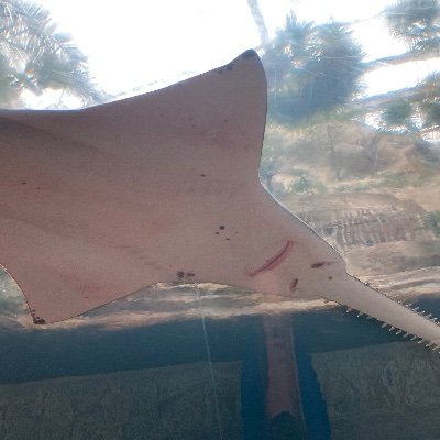 GeernIan55536's profile picture. Jesus is Lord, Aggie sports, Texas Rangers, Stars, and sometimes get too far into politics